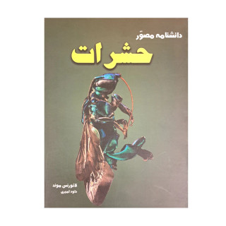 کتاب دانشنامه مصور حشرات اثر لائورنس موند انتشارات آسو