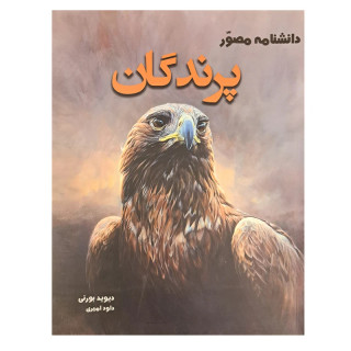 کتاب دانشنامه مصور پرندگان اثر دیوید بورنی انتشارات آسو