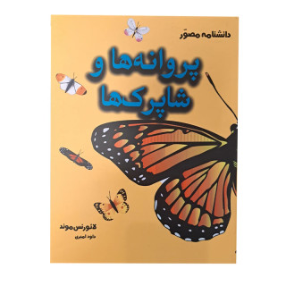 کتاب دانشنامه مصور پروانه ها و شاپرک ها اثر لائورنس موند انتشارات آسو