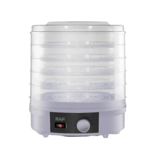 میوه و سبزی خشک کن راف مدل R.6800